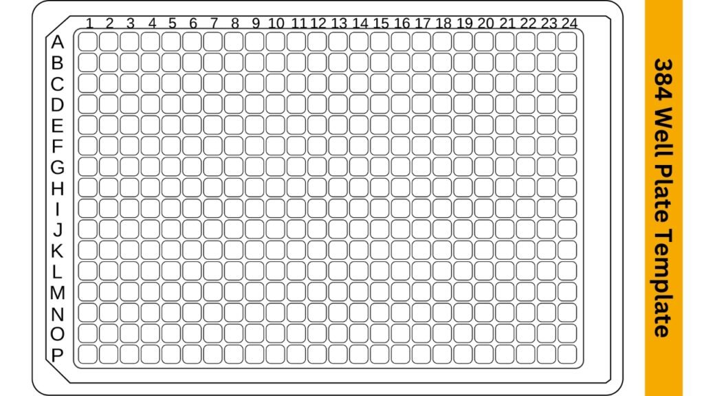 Downloade 384 well plate template excel